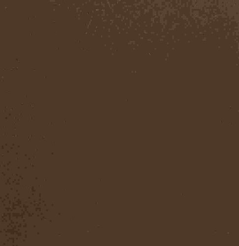 Noch 61173 - Acrylspray matt braun 200 ml