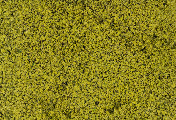 Faller 181621 - Blätterfoliage, hellgrün