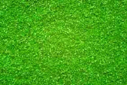 Noch 08411 - Streumaterial Almgrund 165 g