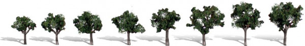 Woodland TR3547 - Fertigbaum Kühler Schatten 2-3 cm 8 Stück