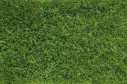 Heki 1577 - Wildgras dunkelgrün Heki decovlies 28 x 14