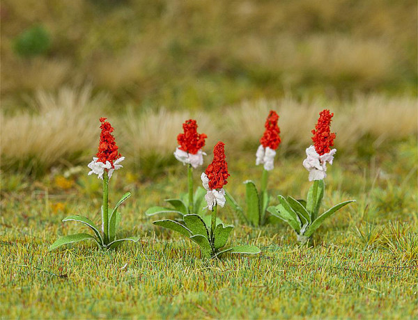 Faller 181267 - 32 Orchideenprimel ca. 12 mm