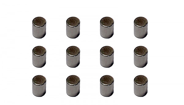 Viessmann 8431 - Dauermagnete, 12 Stück