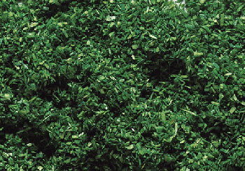 Faller 170703 - Streumaterial 30 g waldgrün