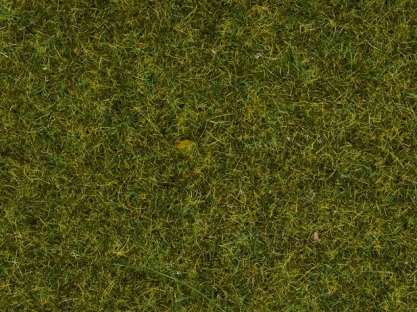 Noch 07117 - Wildgras "Wiese" 9 mm 50g