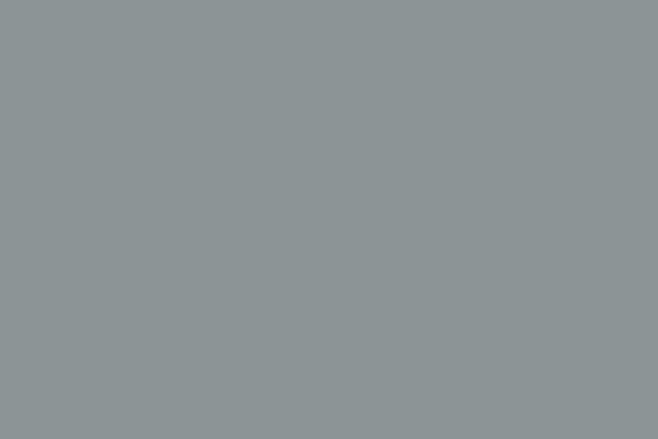 Weinert 2422 - 4-M-Light Grey, matt 164M