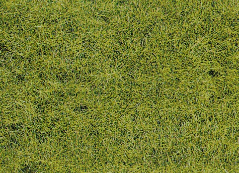 Heki 3368 - Heki Grasfaser 5-6 mm Wildgras Waldboden Beutel a´75 g