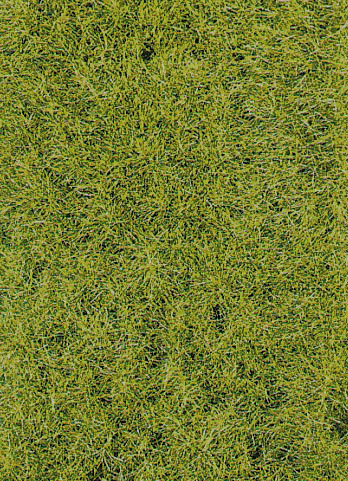 Heki 3376 - Grasfaser 10mm Frühling, Beutel a 50gr