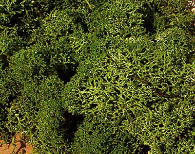 Heki 3234 - Islandmoos 250 g mittelgrün Heki Geländebau