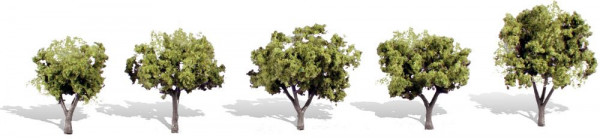 Woodland TR3546 - Fertigbaum Morgenlicht 3-5 cm 5 Stück