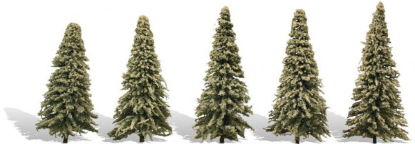 Woodland TR3566 - Blautannen 5-9 cm 5 Stück