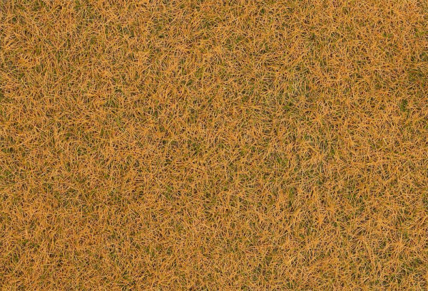 Faller 170224 - Grasfasern, beige, 4 mm, 80 g