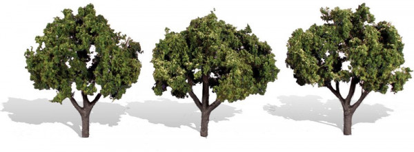 Woodland TR3507 - Fertigbaum Sonnenverwöhnt 8-10 cm 3 Stück