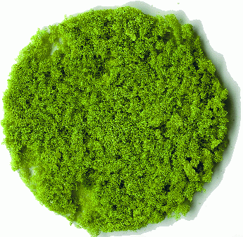 Heki 3388 - Belaubungsflocken hellgrün grob 200 ml