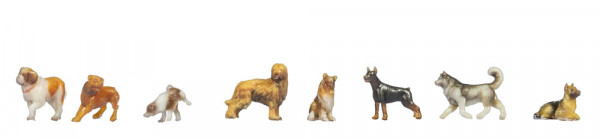 Noch 35760 - Hunde