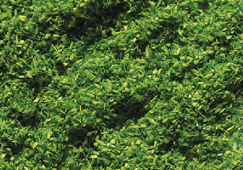 Faller 170702 - Streumaterial 30 g maigrün