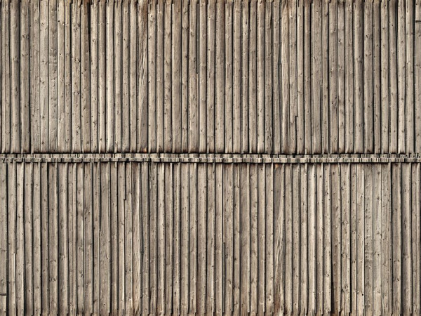 Noch 56664 - 3D-Kartonplatte “Bretterwand” 25 x 12,5 cm