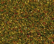 Noch 08330 - Blumenwiesen-Gras Streugras 20 g - Beutel