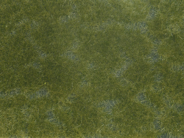 Noch 07252 - Bodendecker-Foliage dunkelgrün dunkelgrün, 12 x 18 cm
