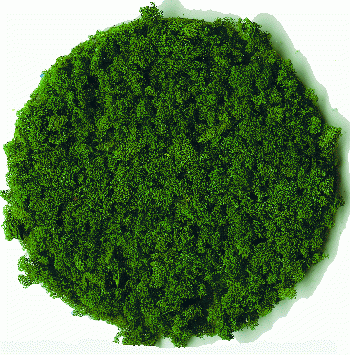Heki 3389 - Belaubungsflocken dunkelgrün grob 200 ml