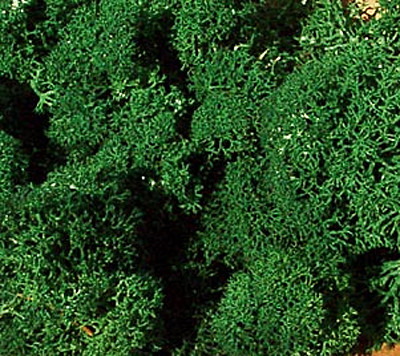 Heki 3231 - Islandmoos 250 g dunkelgrün Heki Geländebau