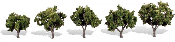 Woodland TR3502 - Fertigbaum Sonnenverwöhnt 3-5 cm 5 Stück