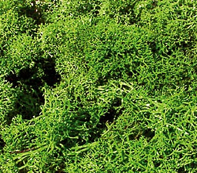 Heki 3230 - Islandmoos 250 g hellgrün Heki Geländebau