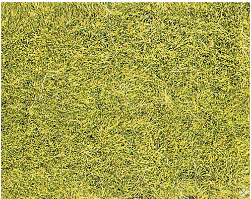 Heki 3367 - Heki Grasfaser 5-6 mm Wildgras Wiesengrün Beutel a´75 g