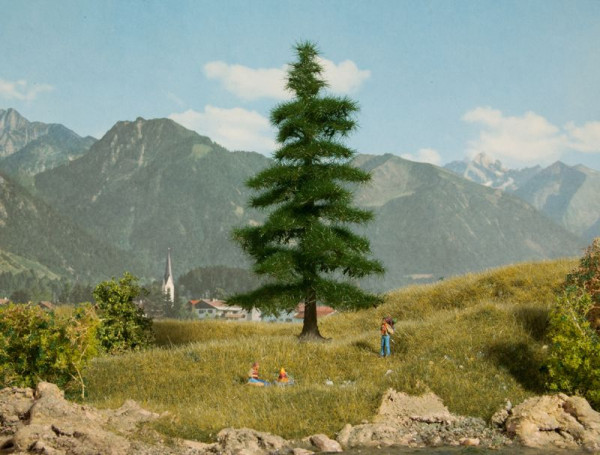 Noch 21811 - Nordmanntanne 14,5 cm