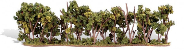 Woodland TR3581 - Hecke ca. 2,5 cm-6 cm-20 cm 1 Stück