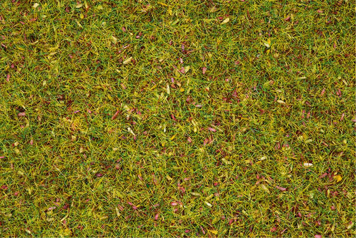 Noch 08155 - Gras Blumenwiese 2,5 mm 120g