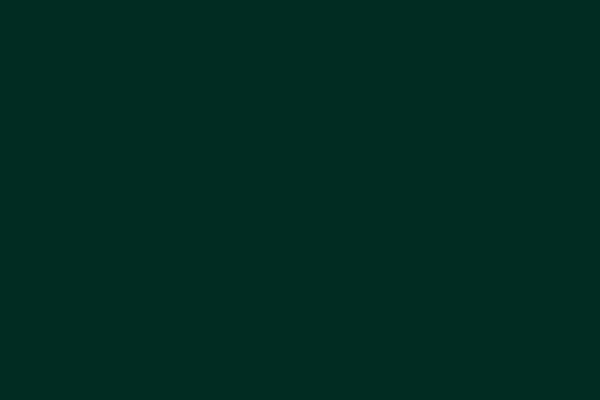 Weinert 2411 - 13-Dark Green, glänzend,13G