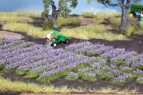 Noch 07136 - Lavendel 36 St.