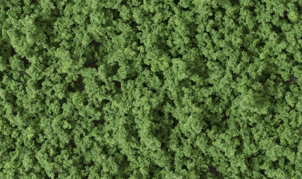 Woodland FC136 - Beflockungsmaterial mittelgrün, 22g