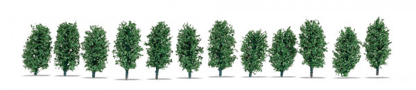 Noch 21547 - Thuja-Hecke