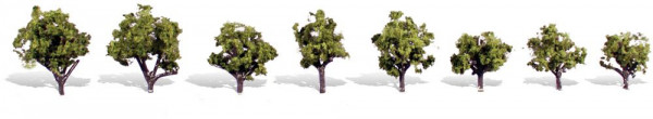 Woodland TR3545 - Fertigbaum Morgenlicht 2-3 cm 8 Stück