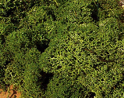 Heki 3218 - Islandmoos 30 g mittelgrün Heki Geländebau