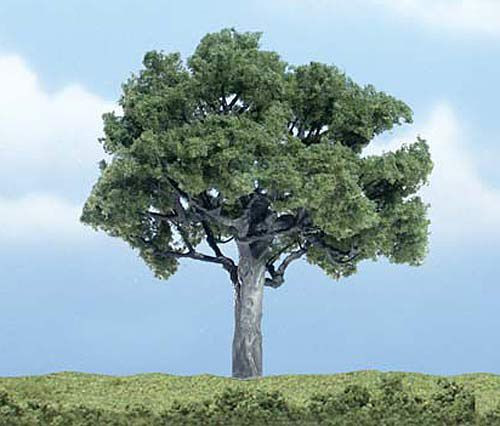 Woodland TR1622 - 1 Walnussbaum 10 cm