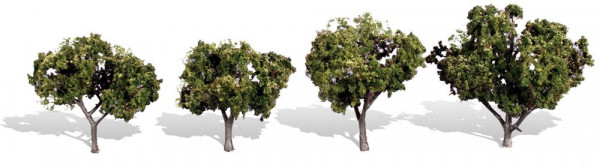 Woodland TR3504 - Fertigbaum Sonnenverwöhnt 5-8 cm 4 Stück