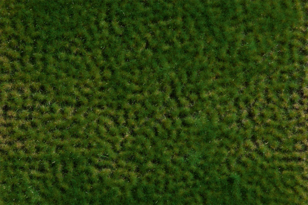 Auhagen 76701 - Grasbüschel Frühling 2-6 mm