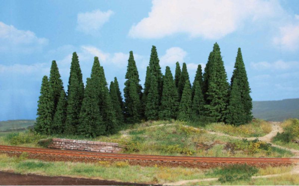 Heki 2241 - Tannen 5-12 cm 35 St.