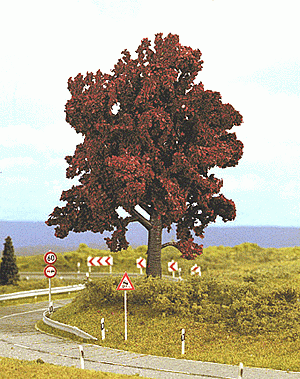 Noch 21730 - Rotbuche 13 cm hoch