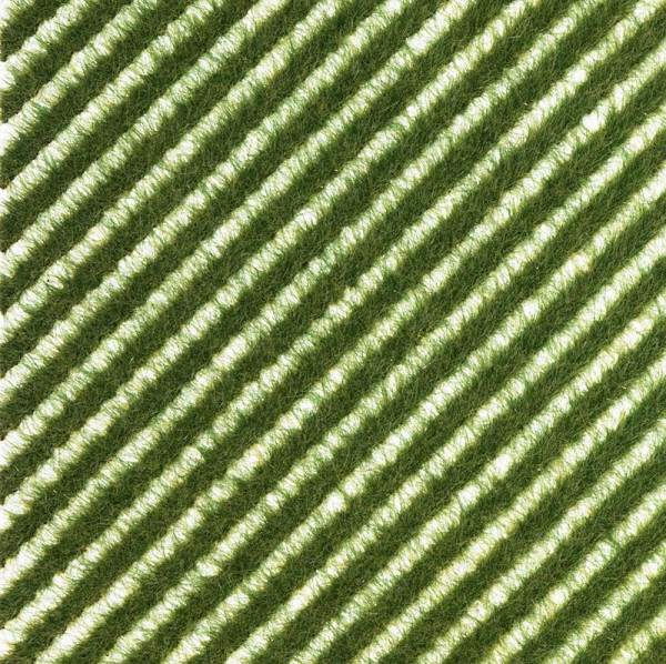 Busch 1343 - Grasstreifen Sommer