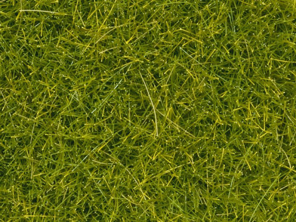 Noch 08363 - Streugras hellgrün 4 mm 20 g